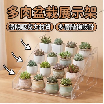 多肉盆栽展示架植物展示架多肉收納仙人掌仙人球收納盒收納架 花架 花架 實木花架盆栽架 多肉植物架 陽台花架 花盆架