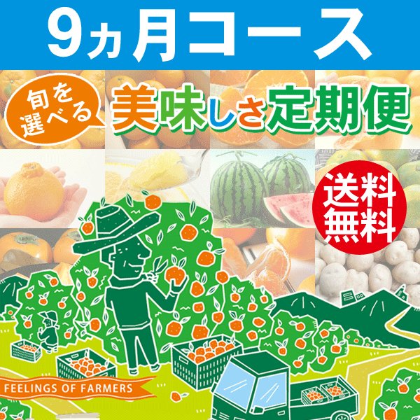 旬を選べる美味しさ定期便 9ヵ月コース 愛媛県・宇和島産 みかん柑橘＆野菜 送料無料※一部地域を除く