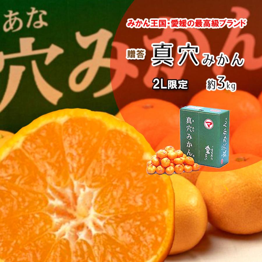 真穴みかん みかん 贈答 お歳暮 真穴 約3ｋｇ 2L サイズ限定 送料無料 愛媛県産