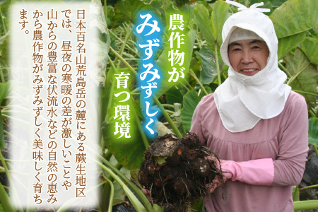 日本百名山 荒島岳の麓で育てた 蕨生（わらびょう）里芋 3kg [A-001010]