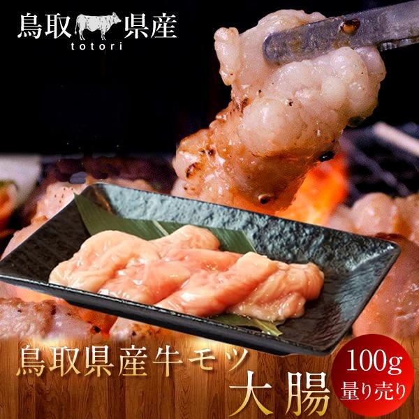 牛肉 鳥取県産牛 モツ 大腸 国産牛 焼き肉 やきにく 赤身 選べる 部位別 量り売り 生産農家［お歳暮 2023 ギフト 御歳暮］