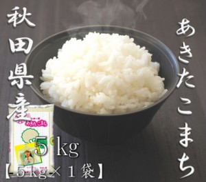 米 お米 令和5年産 秋田県 あきたこまち 5kg 合計 5kg