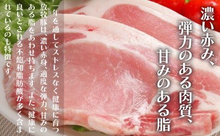 厚真希望農場で育った放牧豚の無添加ソーセージ11種類ボリュームセット