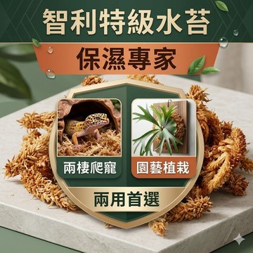 陸龜驛站｜智利水苔 水苔 水草 多肉 組盆 蘭花栽培 栽培介質 盆栽 蝸牛 鼠婦 多肉 爬蟲 獨角仙 甲蟲 保濕 園藝