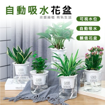 吸水花盆 懶人花盆 透明花盆 控根盆 透氣盆 自動吸水花盆/戶外花盆 種菜盆 盆栽園藝花盆 花盆 大花盆 多肉盆 觀葉植