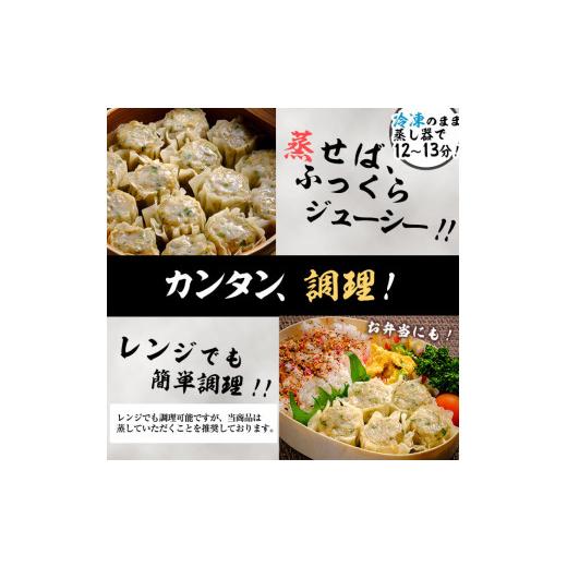 ふるさと納税 鹿児島県 志布志市 鹿児島県志布志市産黒豚使用 シュウマイ＆訳あり餃子 計60個(シュウマイ 10個×2パック・餃子  20個×2パック) a2-…