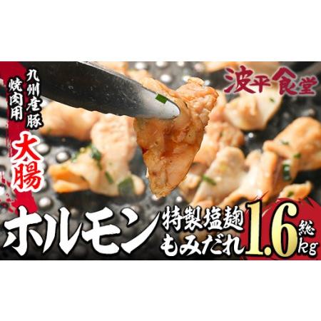 ふるさと納税 特製 塩麹もみだれ 九州産豚ホルモン 大腸 (計1.6kg・320g×5P) 国産 大分県産 豚 ホルモン 小分け 冷凍 味付け おつまみ 大分.. 大分県佐伯市