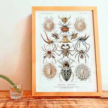 A3 圖鑑海報 (6款)