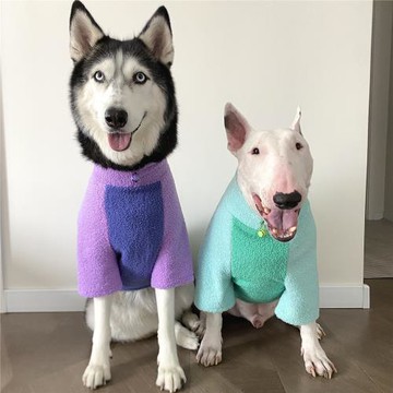 羊羔絨高領抽繩保暖秋冬衣服貓狗寵物衛衣牛頭梗拉布拉多法斗哈士