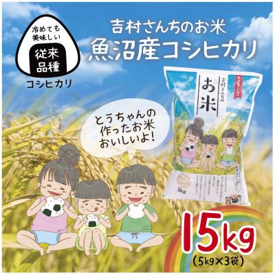 ふるさと納税 十日町市 |従来品種| 魚沼産 コシヒカリ 精米 5kg×3袋 計15kg 新潟 十日町市 吉村さんちのお米