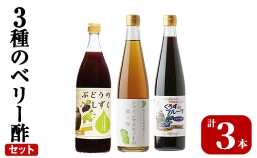 K-112 3種のベリー酢(ピオーネ・シャインマスカット・ブルーベリー)飲み比べセット(計3本)霧島市 お酢 調味料 黒酢ドリンク ビネガー セット