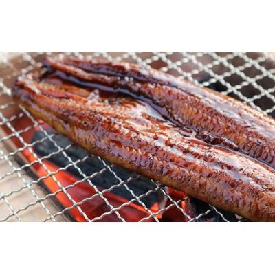 ふるさと納税 曽於市 うなぎ蒲焼デラックスセット!!(約200g×7尾,きざみうなぎ蒲焼×10,タレ・山椒つき)