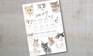 2027蘭嶼小島貓年曆