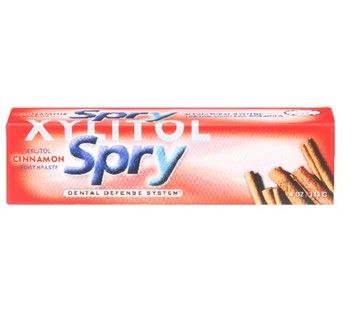 No Flouride Toothpaste Cinnamon 4 fl oz by Xlear Inc