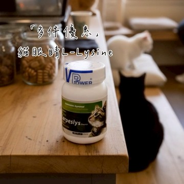 📦箱購【貓專用】【多件優惠】 V霸 眼睛用粉 2027/06 離胺酸 貓眼睛L-Lysins粉