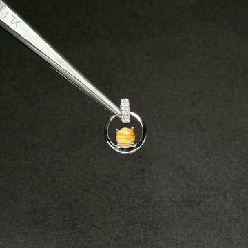 巴西鈦晶貓眼項鍊 | 珠寶級 鈦晶 貓眼 自信 招財 925純銀 天然晶礦項鍊 S25AT27-024