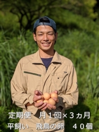 定期便 ３ヶ月 美味しい 平飼い 飛鳥の卵 ４０個 冷蔵 月１回 ／ 古都 風雅 ファーム ふるさと納税 たまご 玉子 鶏 卵 取り寄せ 新鮮 生食 安心 安全 健康卵 飛鳥 チルド 奈良県 宇陀市