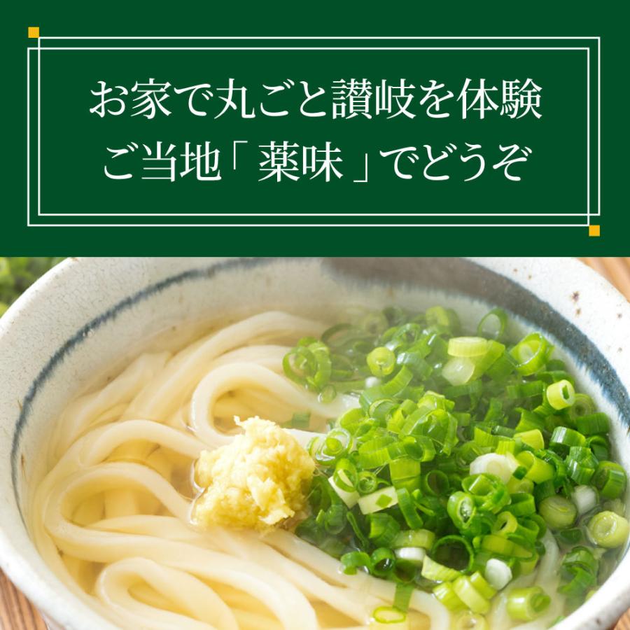 薬味付き讃岐ねぎうどんセット