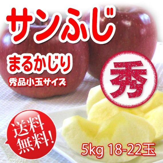 まるかじり-サンふじ 秀品 小玉 5kg 18〜22玉 送料無料 リンゴ