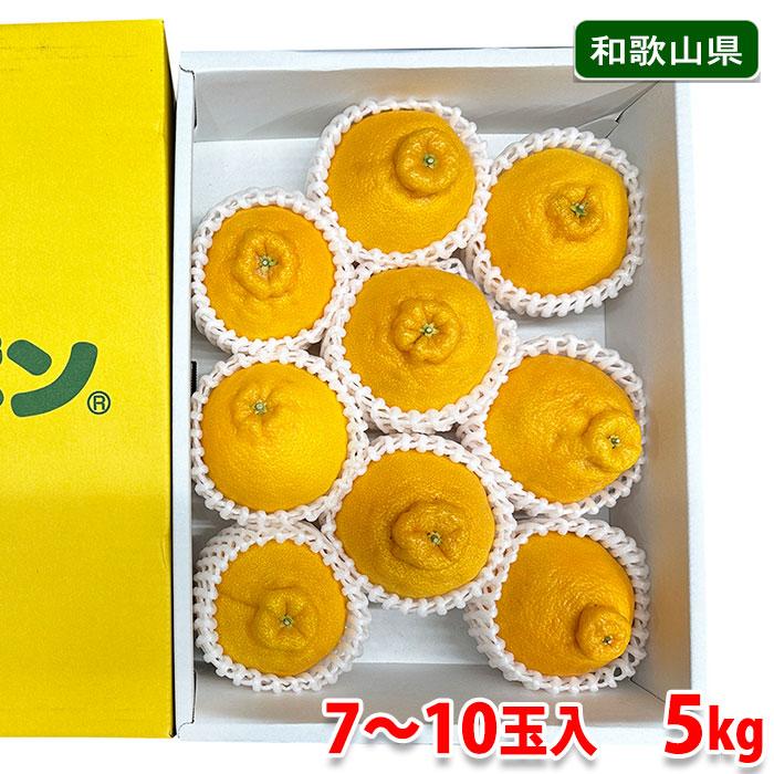 和歌山県産　デコポン　秀品　7〜10玉入　5kg