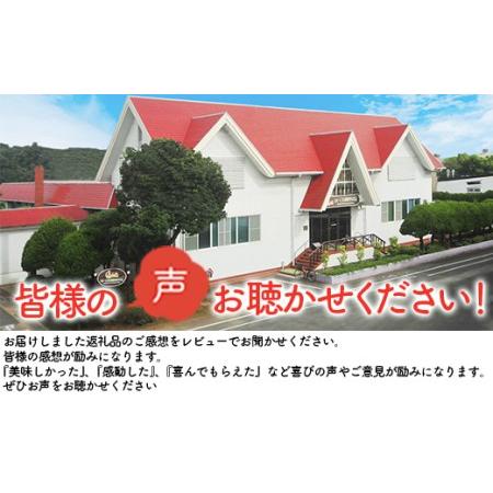 ふるさと納税 宴の彩りホワイトロースハム・焼豚 2本セット [南日本ハム 宮崎県 日向市 452060185] 宮崎県日向市