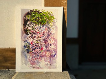 蘭花藝術微噴-瀑布蘭