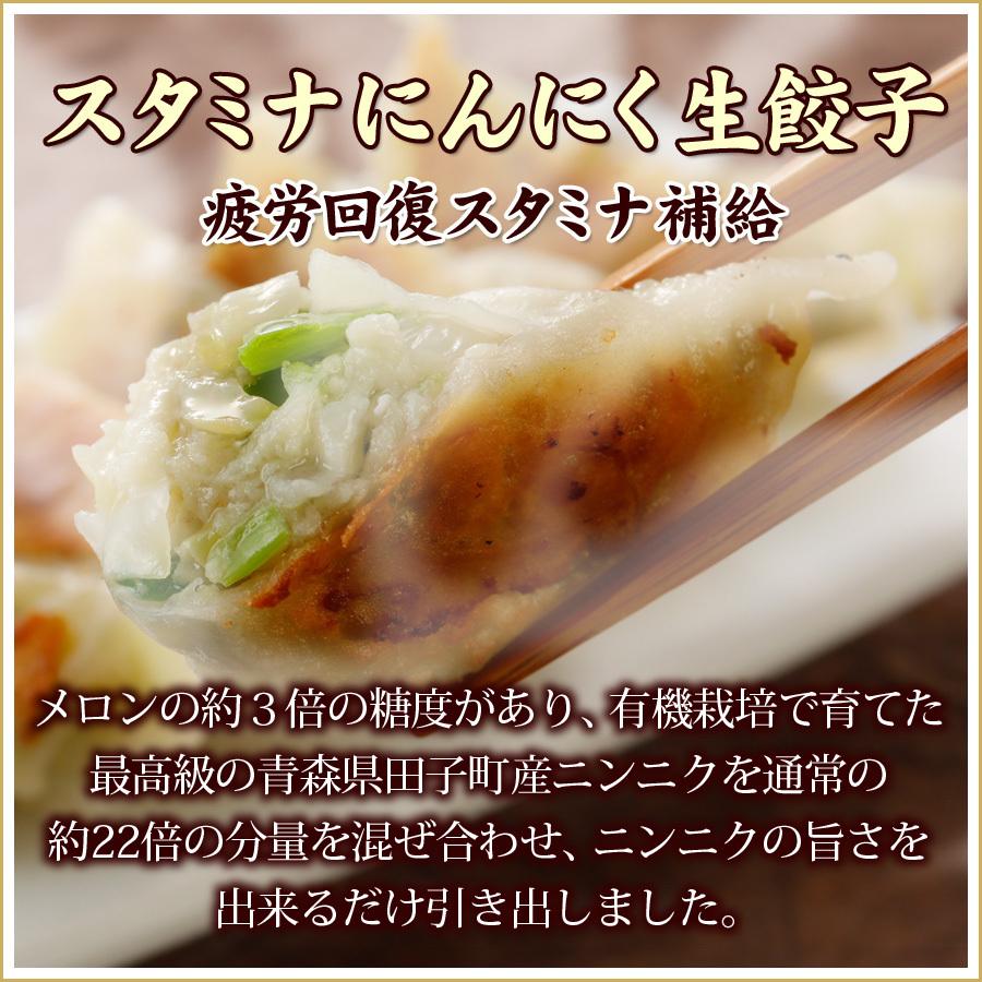 送料無料 (５種類５０個入) １０人前 詰め合わせ 冷凍餃子  生餃子 餃子 ぎょうざ ギョーザ ギョウザ 冷凍生餃子 お取り寄せ セット 冷凍食品 グルメ