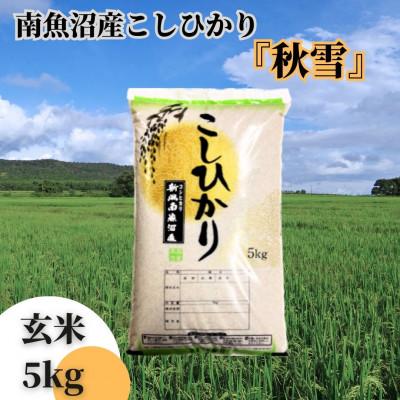 ふるさと納税 南魚沼市 南魚沼産こしひかり「秋雪」玄米5kg 新潟県の特A地区南魚沼市の美味しいお米