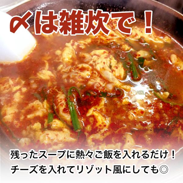 訳あり 宮崎新名物「辛麺屋 輪」辛麺4人前 リピーター様向け 簡易パッケージ コク旨ピリ辛スープ 辛めん 得トクセール 送料無料 激辛 麺 お取り寄せ