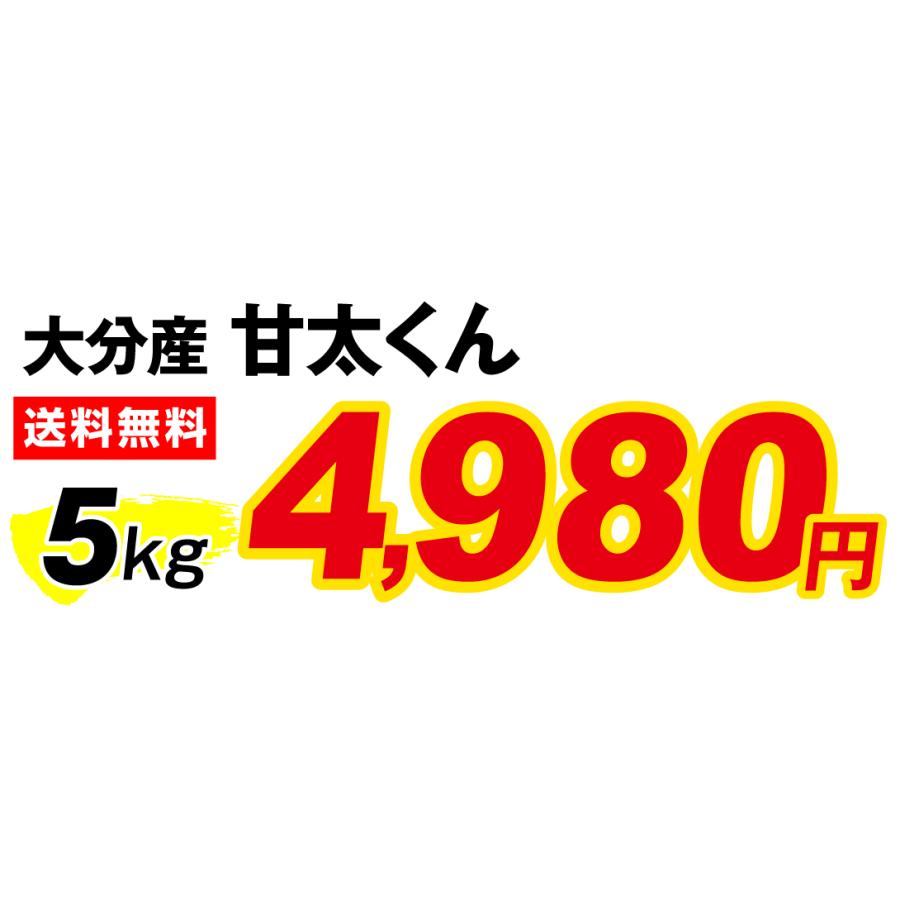 さつまいも 5kg 甘太くん 大分産