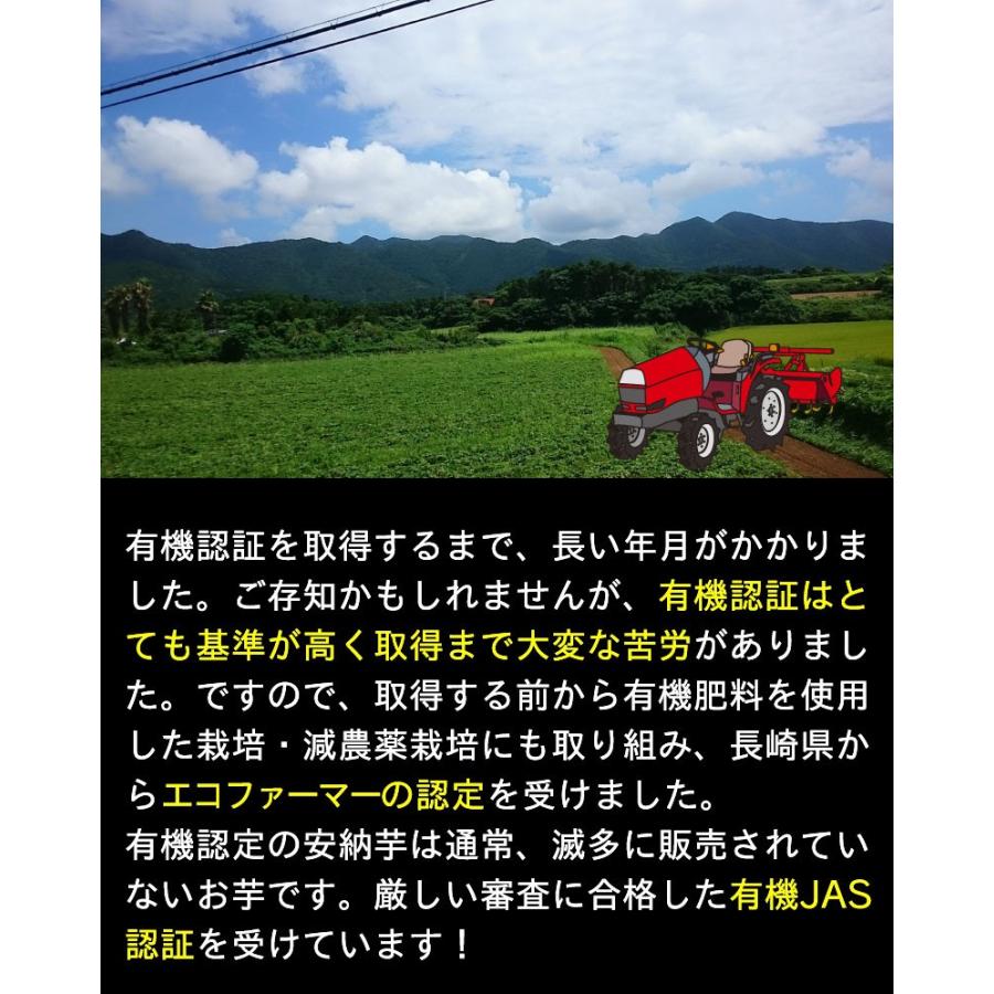 ポイント10倍 御歳暮 ギフト 有機 安納芋 安納いも あんのう芋 蜜芋 離乳食 五島列島 オーガニック Mサイズ A品 10kg グルメ Y常