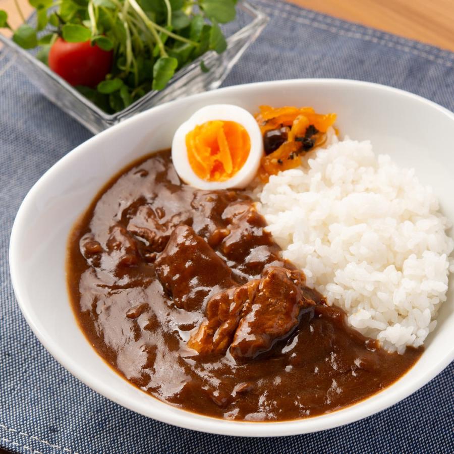 かわつら屋 詰め合わせ 10食 セット かわつらカレー 男のホルモン 惣菜 レトルト カレー おかず 秋田県 ご当地グルメ 川連運送