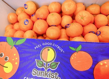 【帕查嬤嬤】????美國 Sunkist 香甜多汁 迷你 砂糖橘｜美國進口水果   1袋 / 600g+-5%