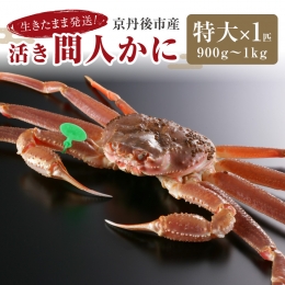 最高鮮度の生きたまま発送！京丹後市産活間人かに　900g～1kg特大サイズ 北畿水産