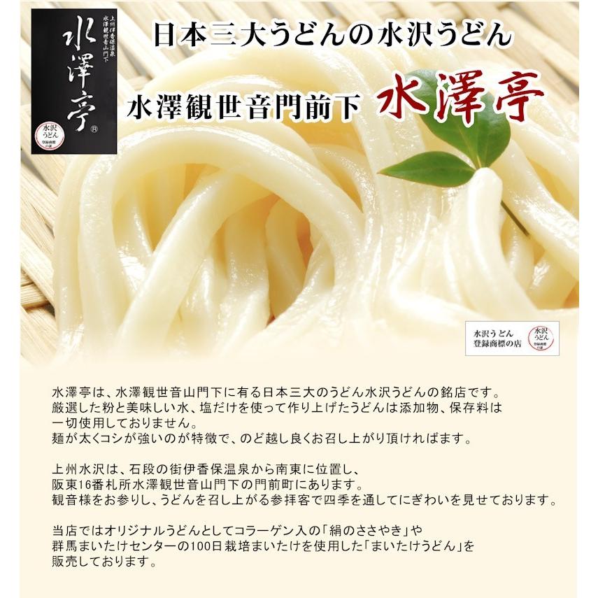 お歳暮 麺類 うどん 水沢うどん 送料無料 上州水澤観世音門前 水澤亭 水沢うどん 半生うどん260g3束 めん汁付