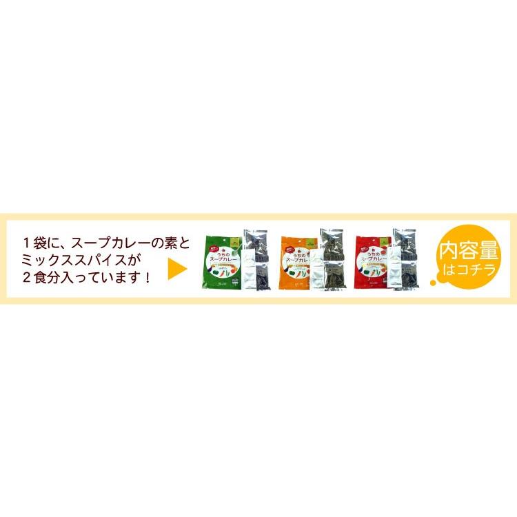 メール便 送料無料 札幌の食卓 うちのスープカレー（昆布だし和風）１袋（２食入）MIXスパイス付き（代引不可・着日指定不可・同梱不可）