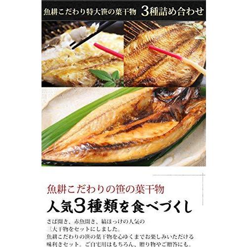 魚耕 干物 魚 1kg以上 特大 笹の葉 干物セット 3種 詰め合わせ お中元 ギフト