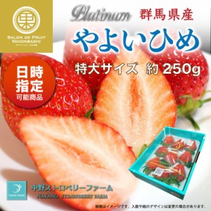 [予約 2024年1月5日-1月30日の納品] プラチナムやよいひめ 特大サイズ 6-12粒 約250g 群馬県産 DX 化粧箱 プレミアム苺 やよいひめ 苺 い