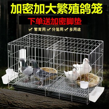 鳥籠 鴿子籠 籠子 鴿子籠養殖籠家用帶隔斷配對繁殖籠大號鴿舍鴿子用具折疊鴿籠『cyd17901』