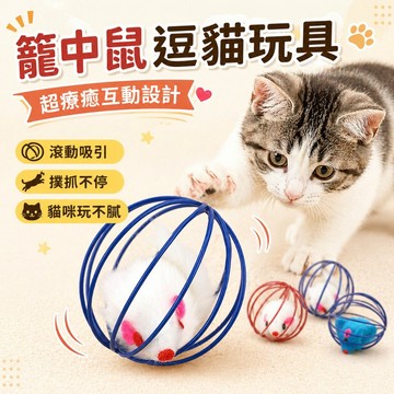 【台灣出貨】籠中鼠｜貓咪解悶玩具｜寵物玩具｜逗貓玩具｜貓咪益智玩具