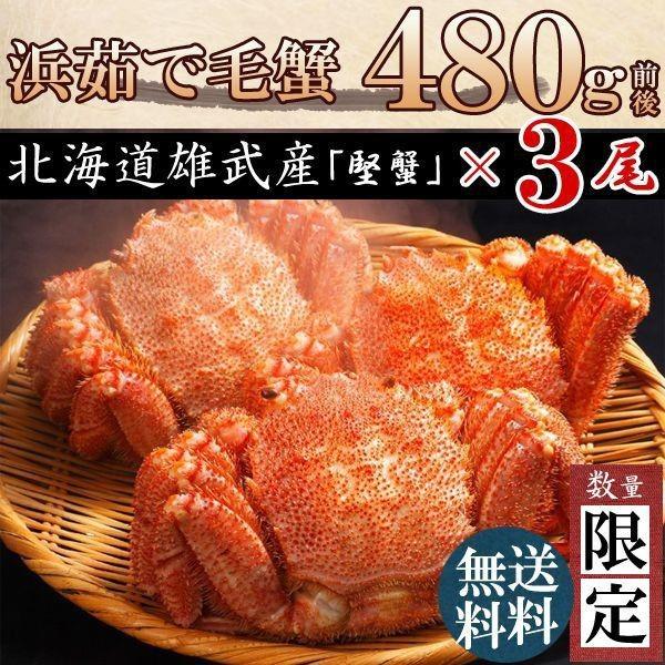 カニ かに 蟹 毛ガニ 毛蟹 3尾 北海道産 480g×3匹セット けがに 毛がに 国産 送料無料 お歳暮 ギフト 高級 海鮮