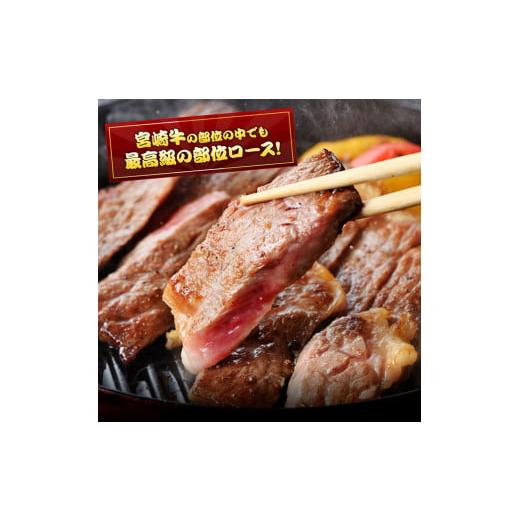 ふるさと納税 宮崎県 川南町 ５等級！宮崎牛ロースステーキ500g 肉 牛 牛肉 国産 黒毛和牛