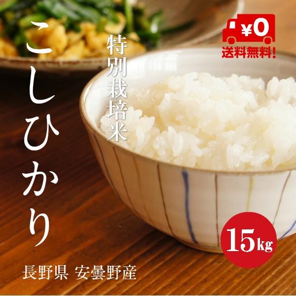 新米 令和５年産 特別栽培米 こしひかり 安曇野産 １等米 白米 １５kg