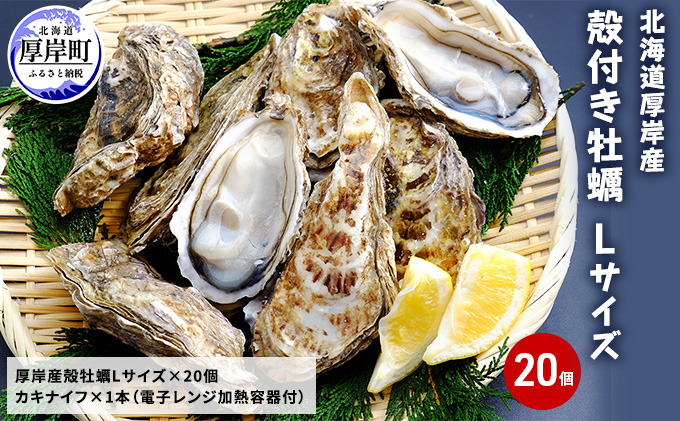 厚岸産 殻付き牡蠣Ｌサイズ20個入(加熱容器付)北海道 牡蠣 カキ かき 生食 生食用 ミルク レンジ