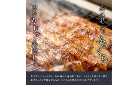 名店の味 国産鰻 宮崎県産うなぎ蒲焼 「お楽しみセット」(うなぎ蒲焼き1尾 骨の唐揚げ うなぎの肝焼 蒲焼きのタレ 粉山椒)