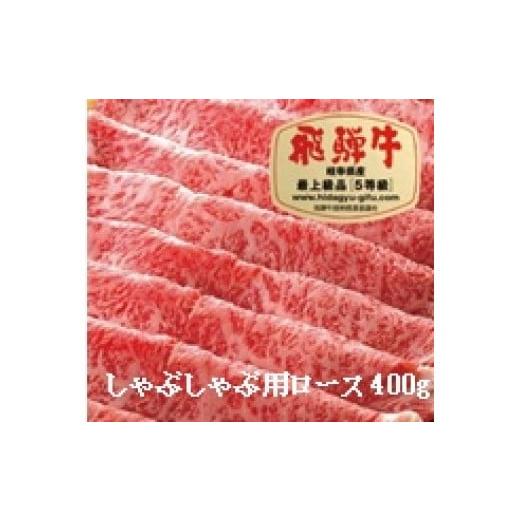 ふるさと納税 岐阜県 大垣市 飛騨牛Ａ５しゃぶしゃぶ用ロース肉(400g)