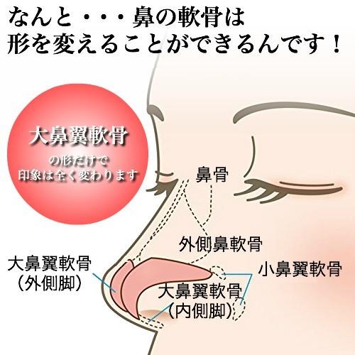 ノーズクリップ 鼻高く 鼻クリップ 美鼻 おすすめ いびき ハナクリップ グッズ 器具 豚鼻 効果 つけ方 簡単 鼻プチ 小鼻 団子鼻 解消 ブルー 送料無料