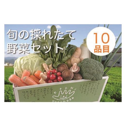 ふるさと納税 高知県 香美市 旬の採れたて新鮮野菜セット10品目「新鮮だから美味しい！」