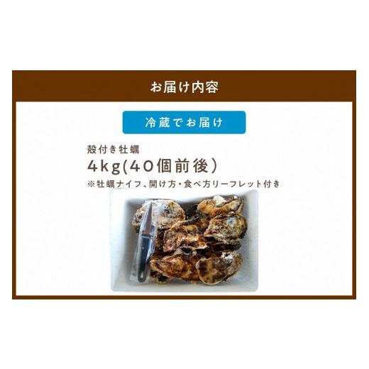 ふるさと納税 京都府 京丹後市 京都・久美浜産　殻付き牡蠣　4kg（40個前後）　牡蠣ナイフ付