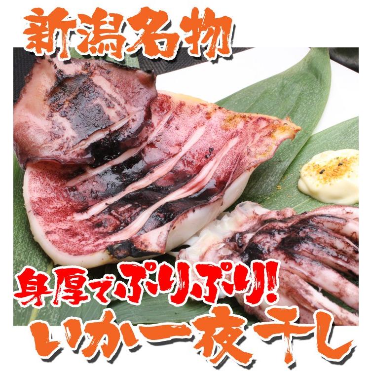 干物 いか 新潟名物 いか一夜干し 食べ比べセット 塩味2枚 醤油味2枚 味噌味2枚  イカ 肴 海鮮 ギフト